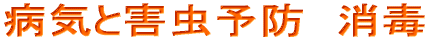 病気と害虫予防　消毒